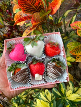 Load image into Gallery viewer, Chocolate Covered Strawberries
